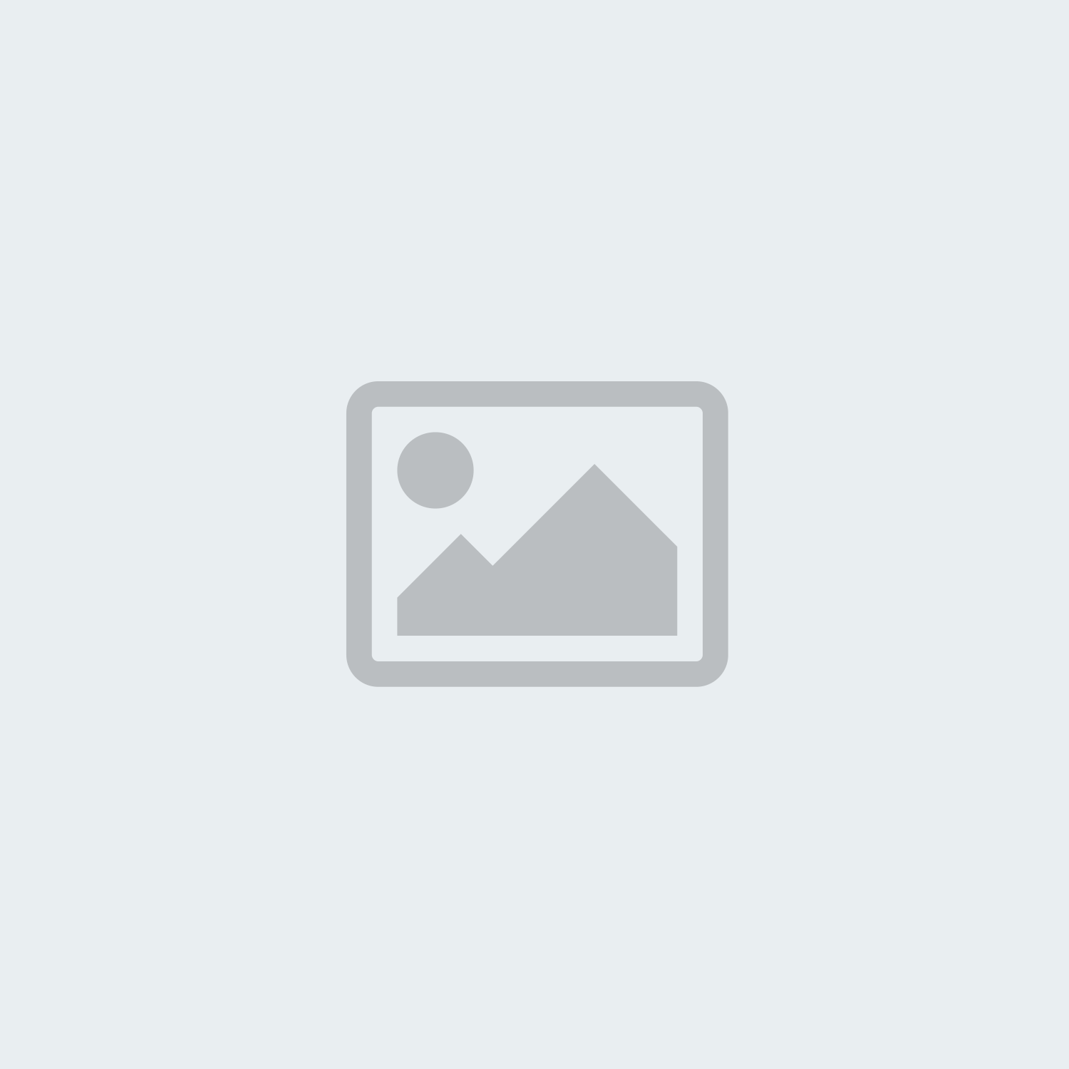 feature icon